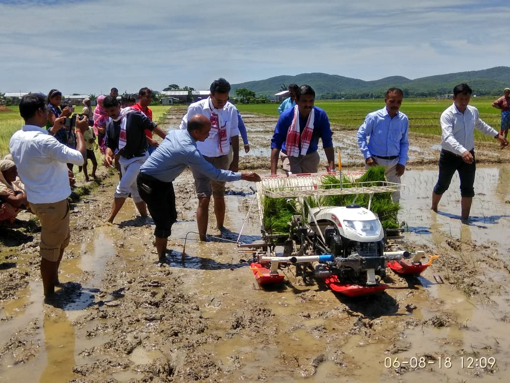 Crop cutting under OFT Programme
